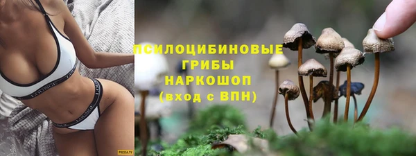 бутират Алексеевка