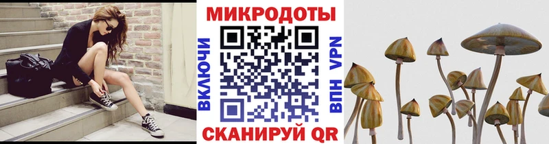 Галлюциногенные грибы Cubensis  Магадан 